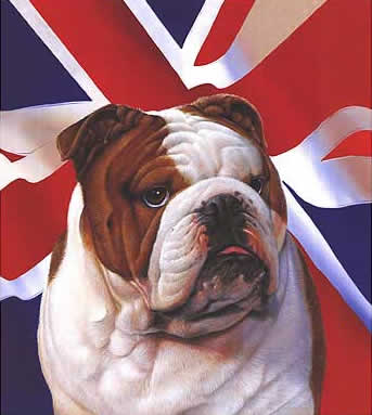 british-bulldog.jpg